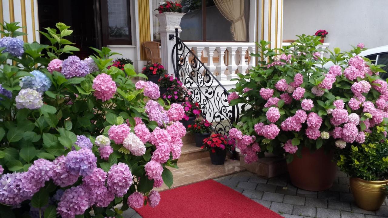 Termal Elit Hotel Gokcedere Exterior photo